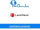 Lexisnexis Job Application Guide 2024