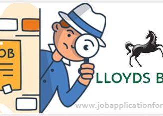 Lloyds Bank Job Application Guide 2024