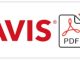 Avis Job Application Guide 2024